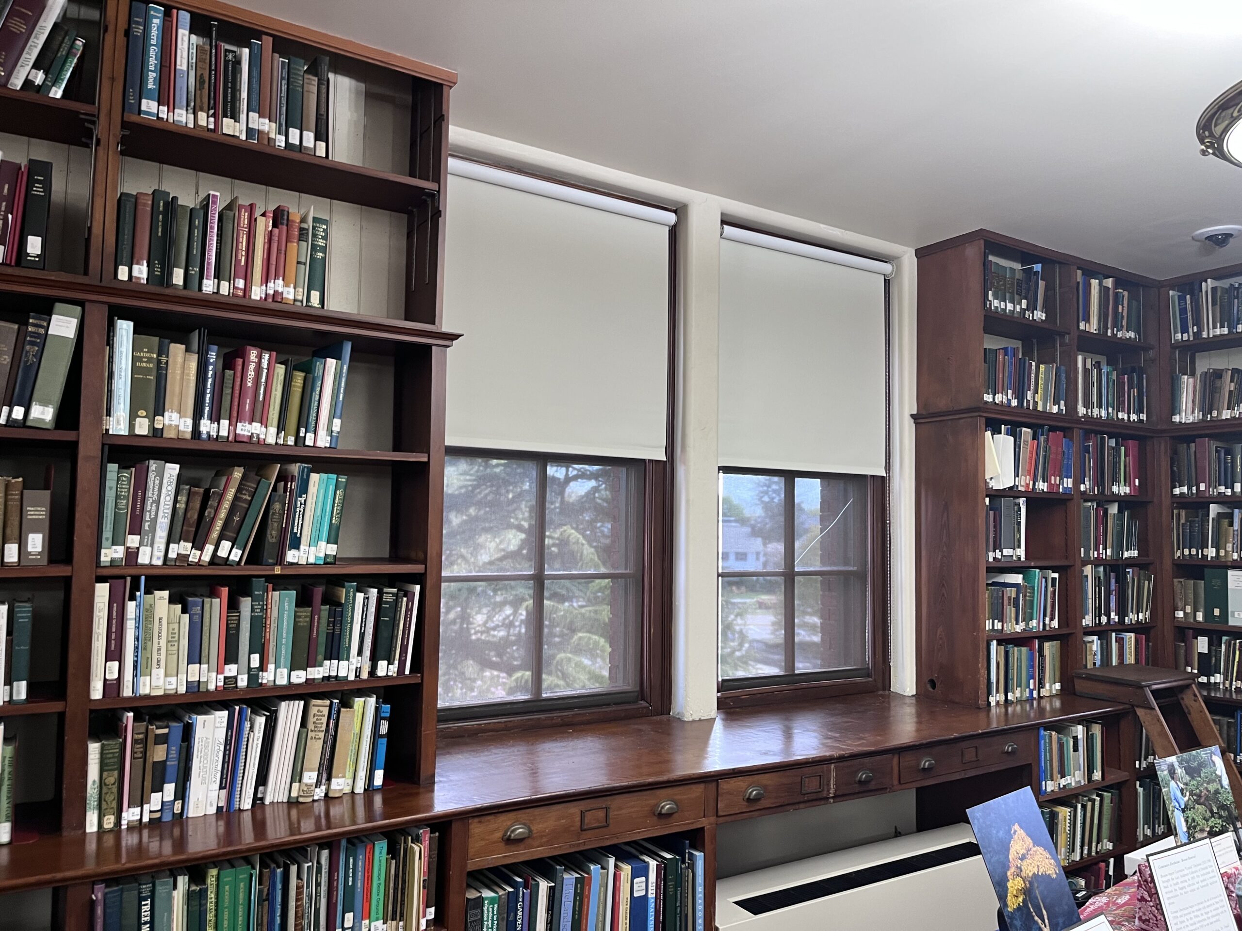 arnold arboretom roller shade installation after 2 window completed
