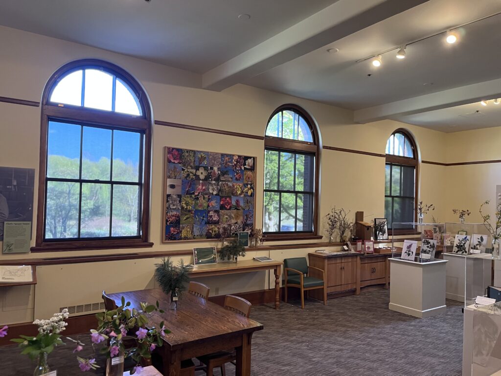 arnold arboretom roller shade installation before
