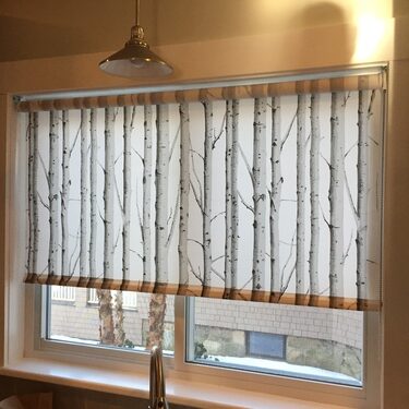 Birch-Tree-Cellular Shades
